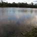 Mill Lake
